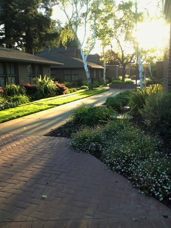 {PRACTICE_NAME} exterior image